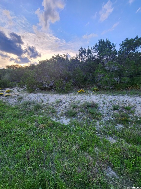 Picture 11