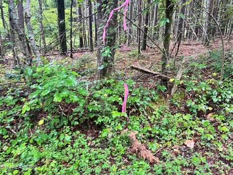 Decatur, TN Land For Sale