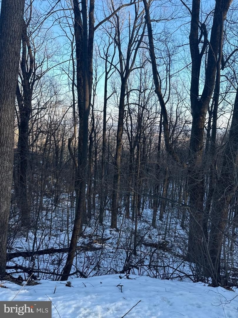 Residential Land in Haymarket, Virginia