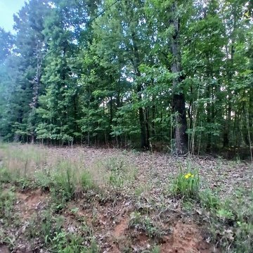 Vacant Lot - Talking Rock, GA