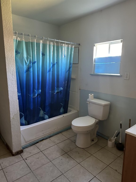 Picture 20