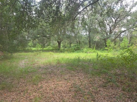 Land, GAINESVILLE, FL