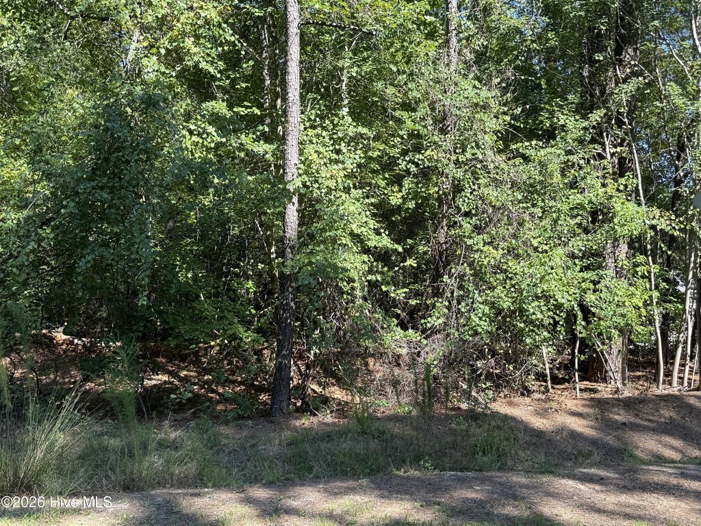 Picture 2