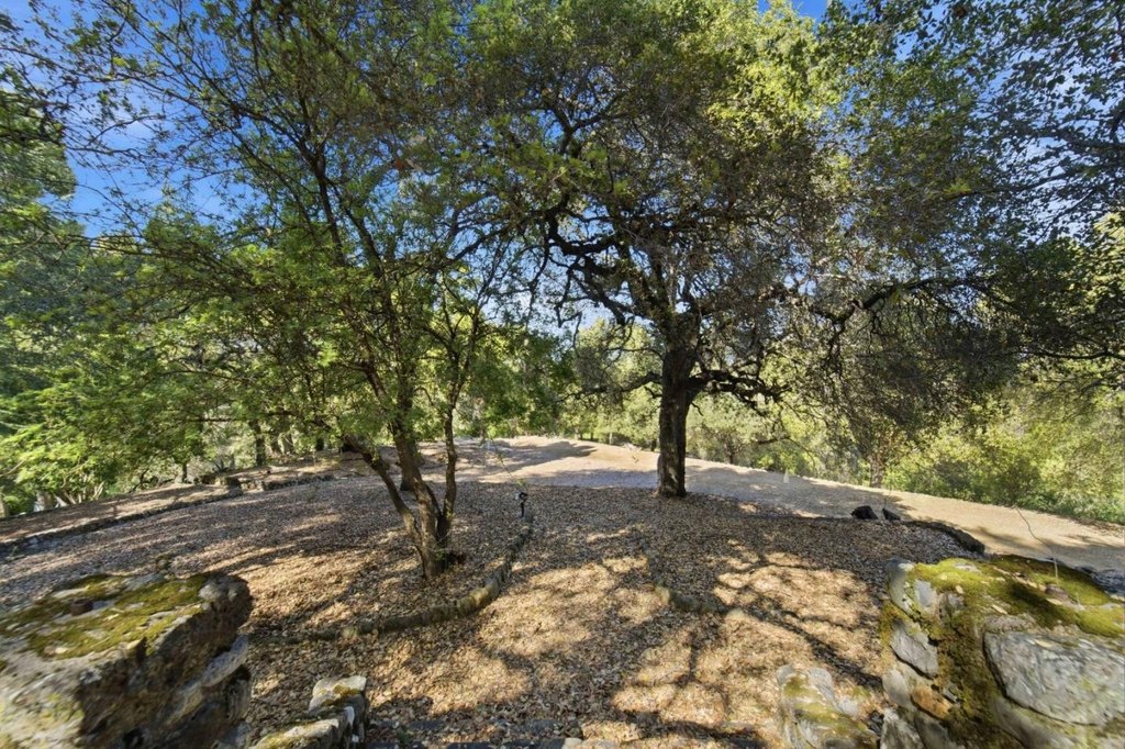 Picture 23