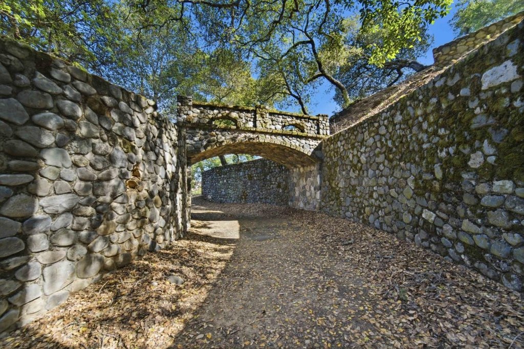 Picture 10