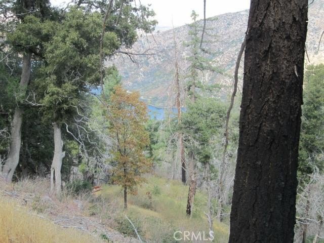 Picture 11