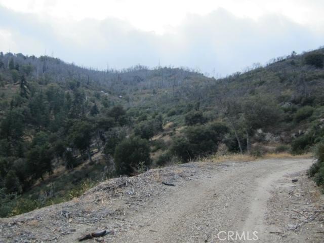 Picture 17