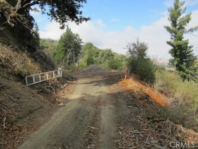 Picture 8