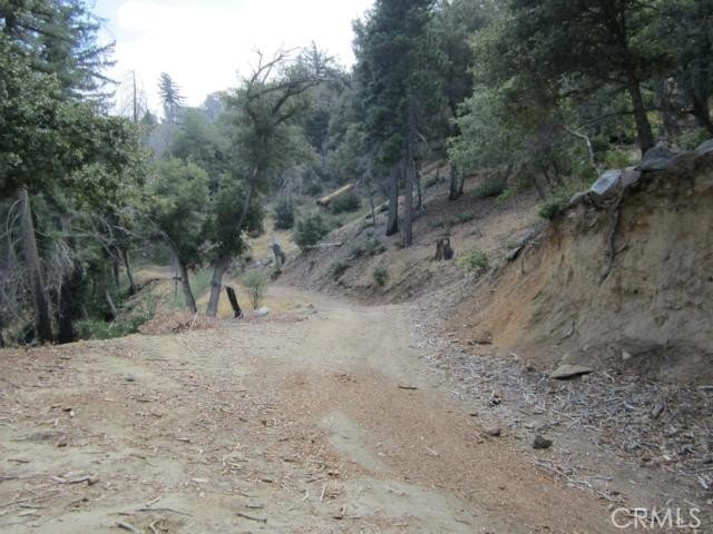 Picture 12