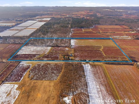 Expansive Vacant Land in West Olive