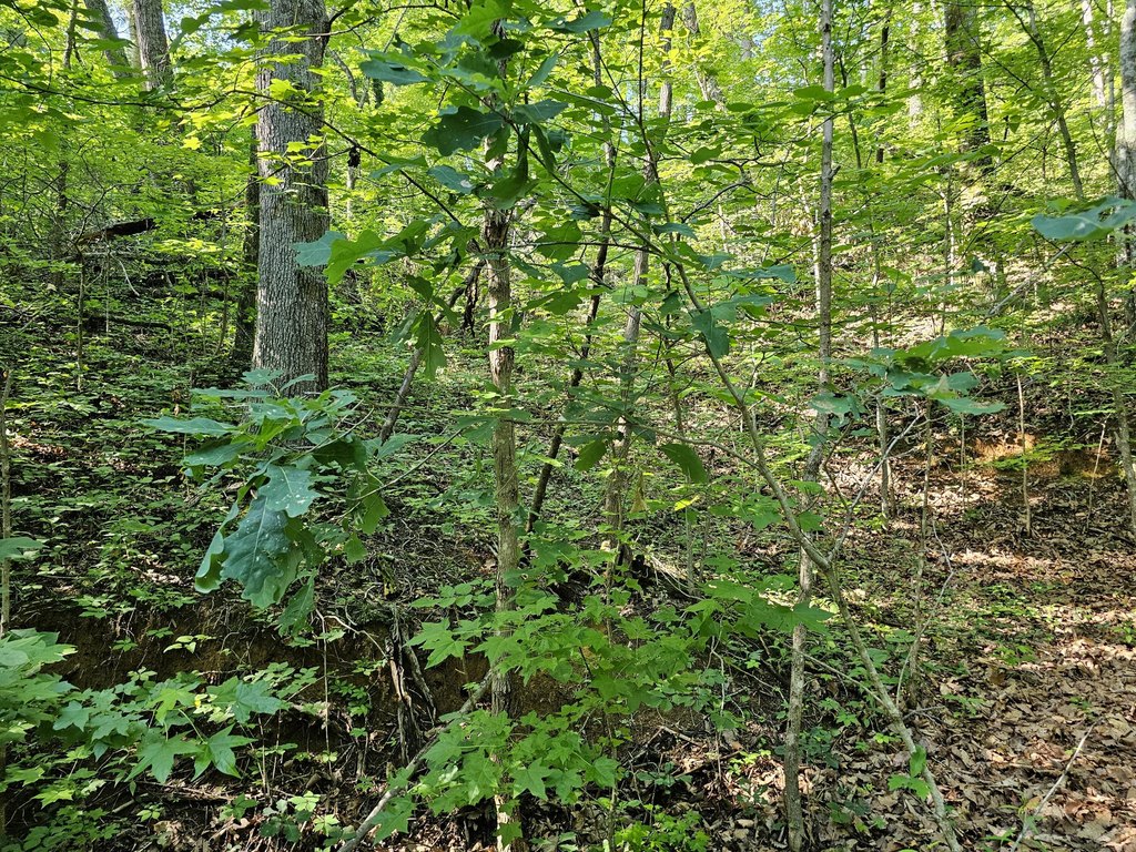 Picture 4