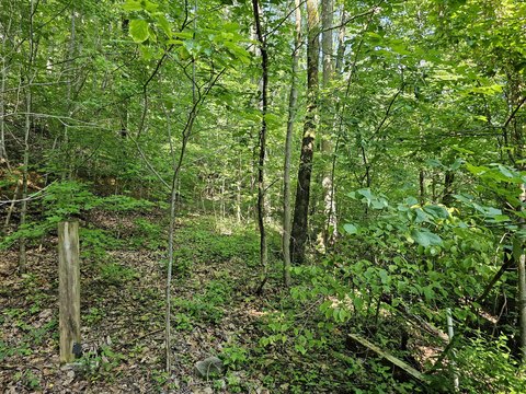 LAND - Sevierville, TN