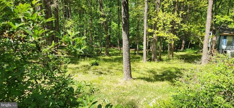 Residential Land in Louisa, Virginia