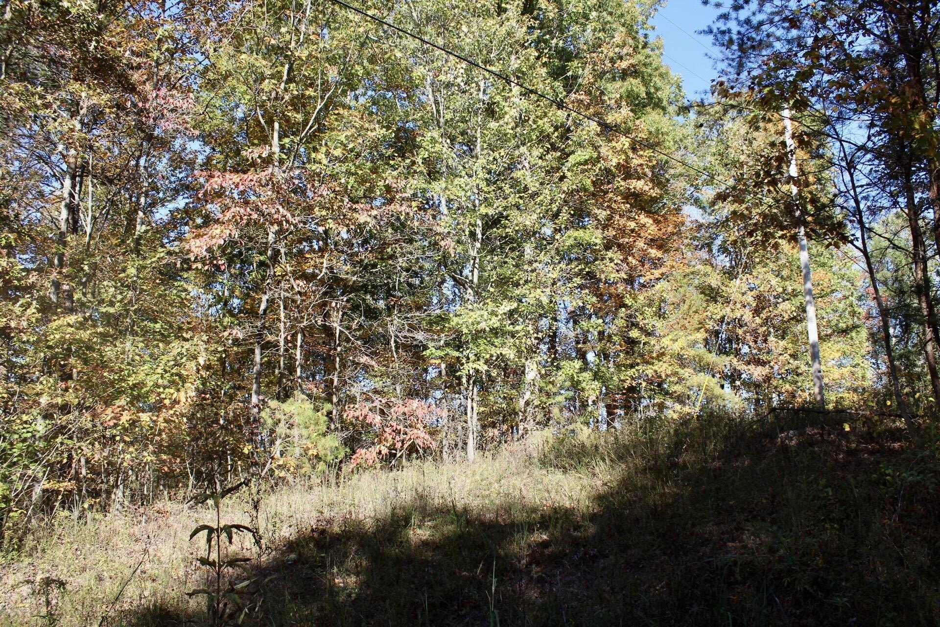10 Acres Wooded Land Tract