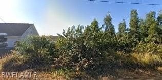 Picture 3