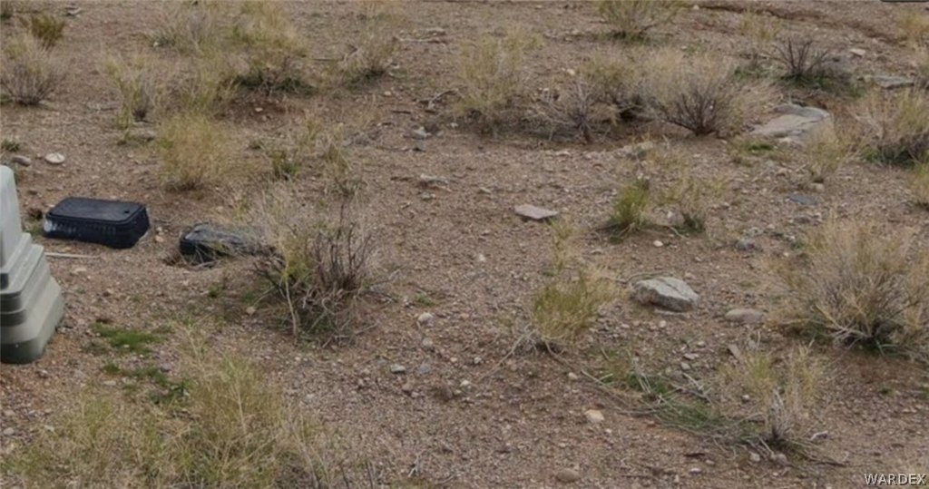 Picture 5