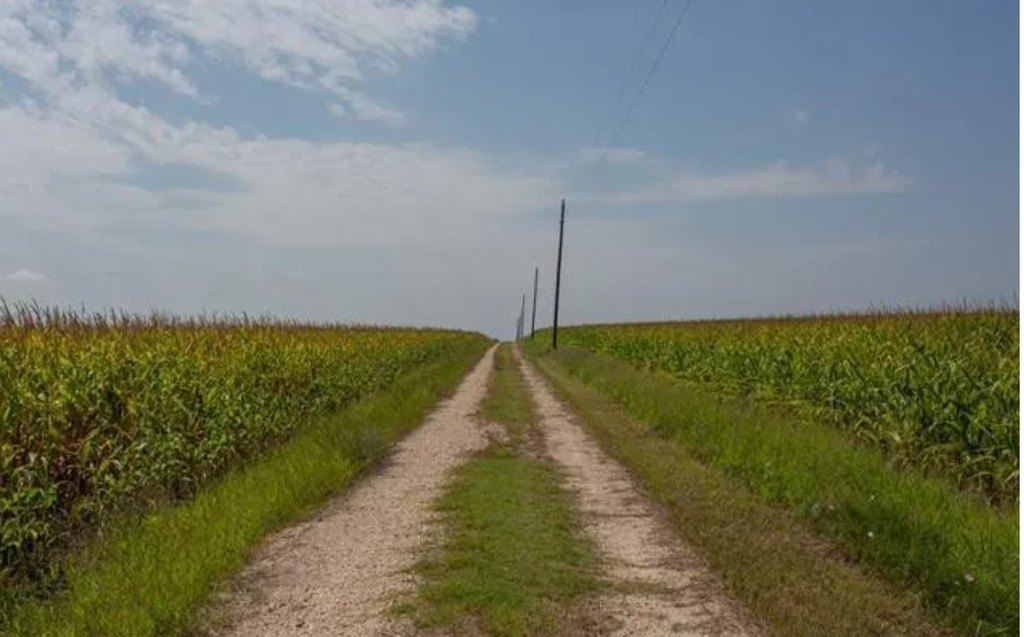 Picture 22