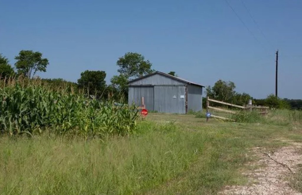 Picture 24