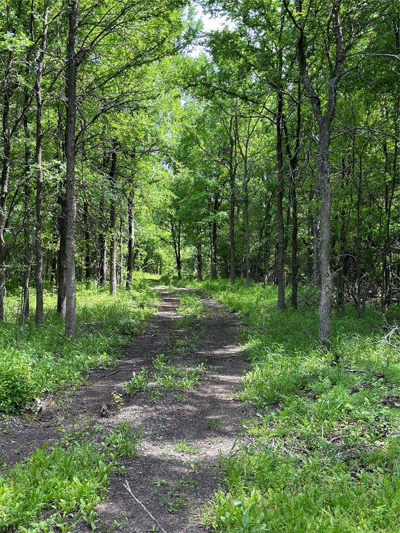 Picture 28