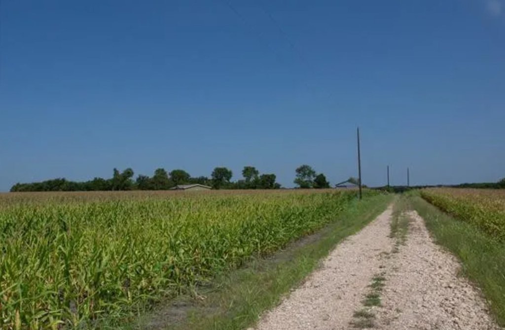 Picture 23