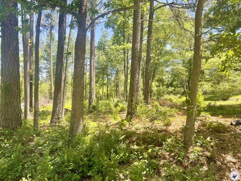 Residential Land in Atlanta, TX