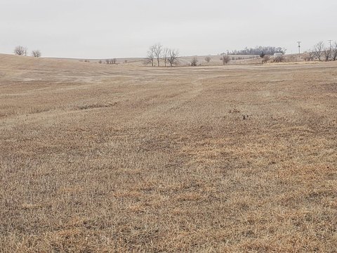 Vacant Land in Belden, Nebraska