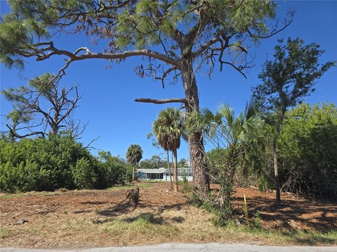 LAND - NEW PORT RICHEY, FL