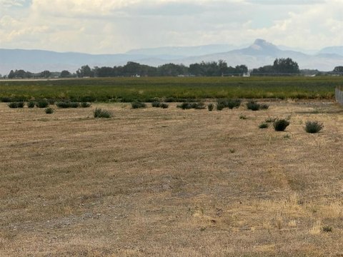 LAND - Powell, WY