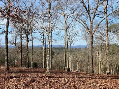 Waterfront Mountain Creek Land