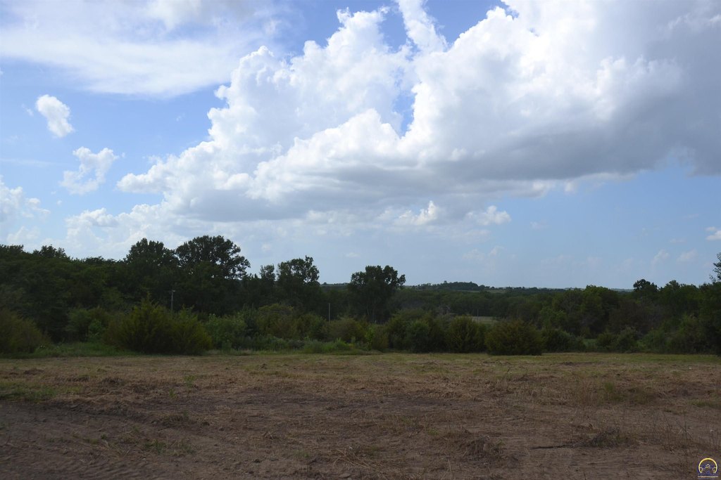 Picture 18