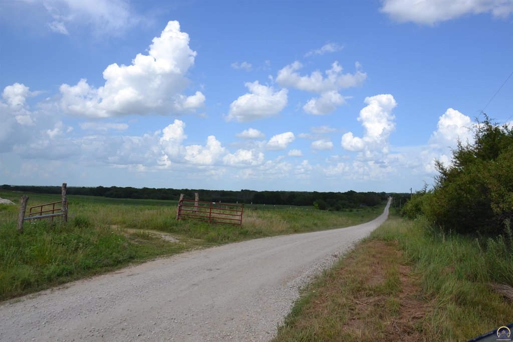 Picture 22