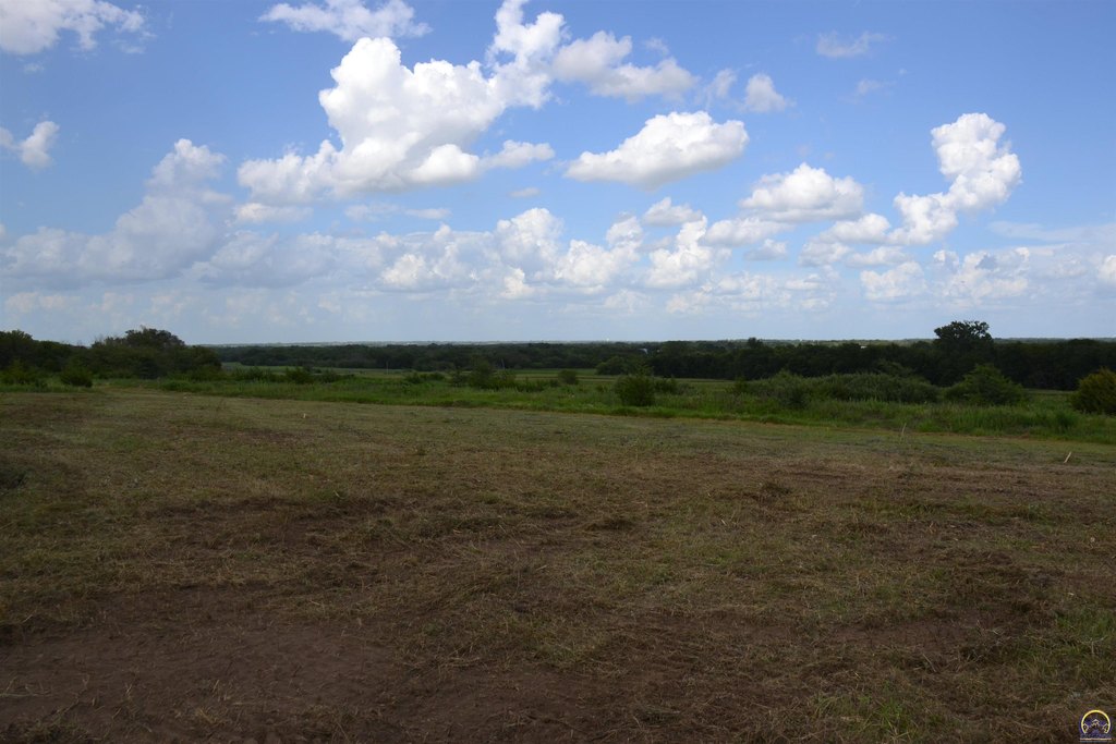 Picture 20