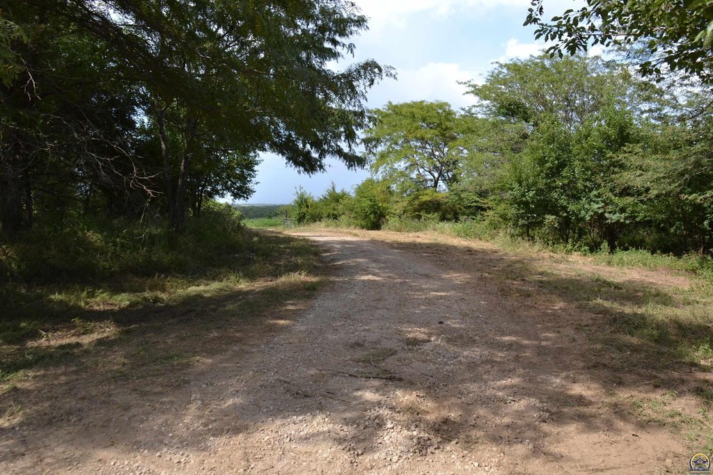 Picture 9
