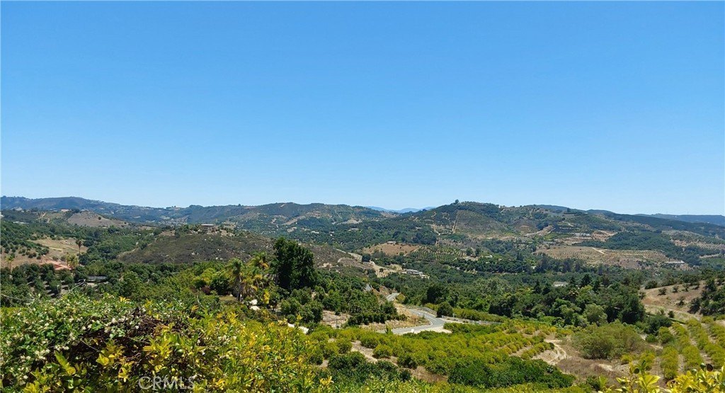 Picture 22