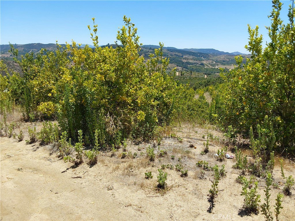 Picture 20