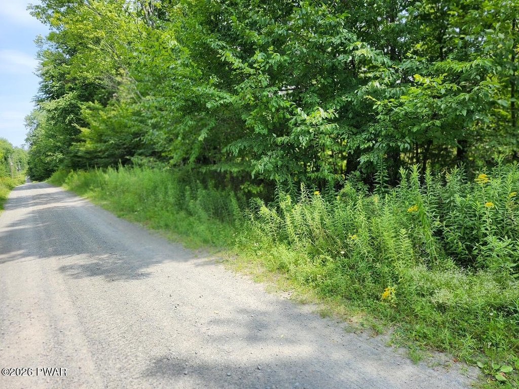 Picture 3