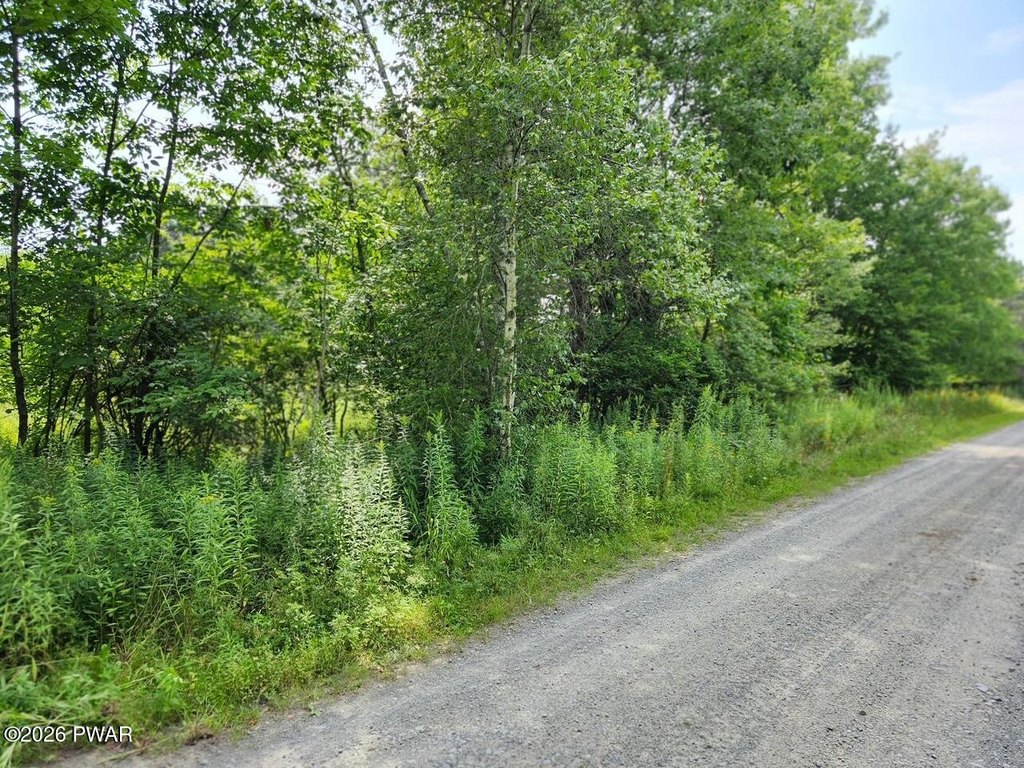 Picture 2