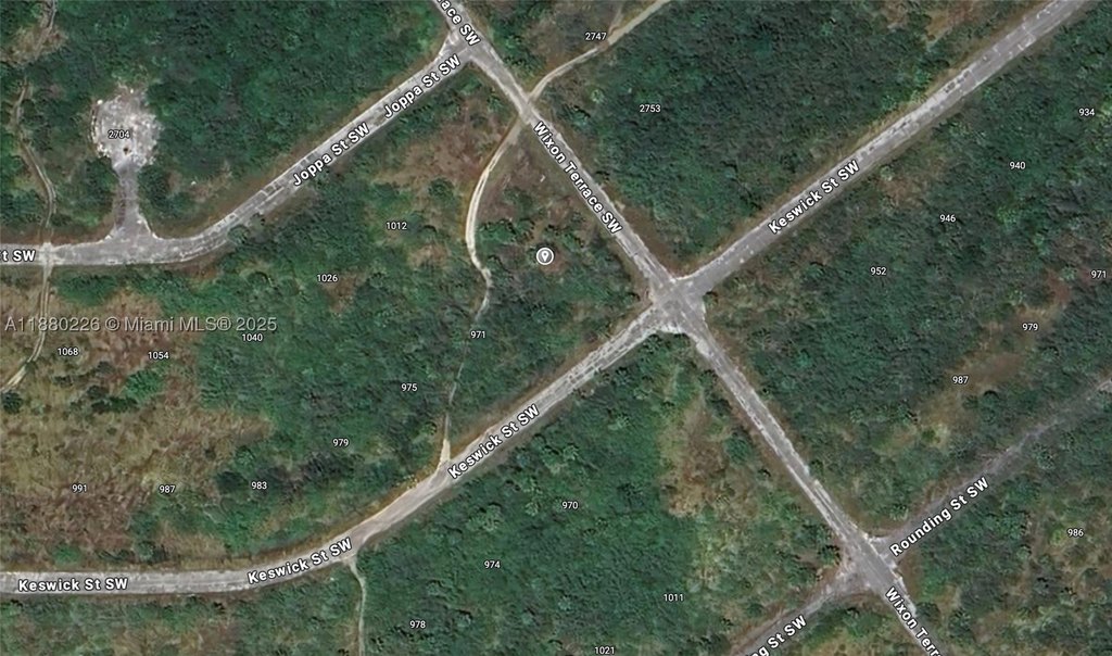 Picture 5