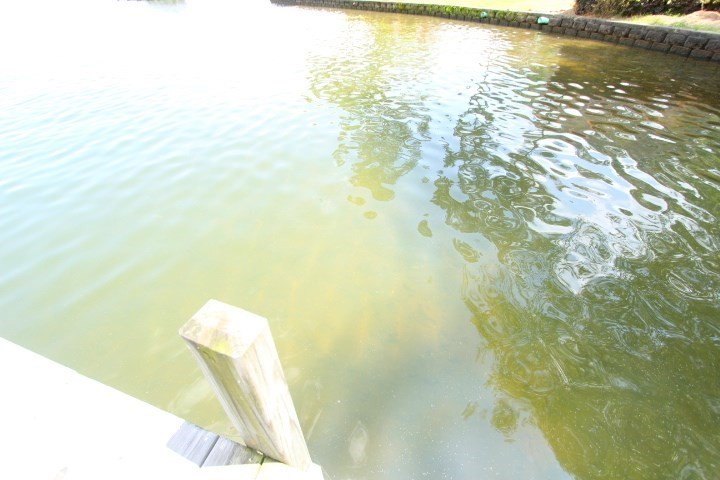 Picture 12