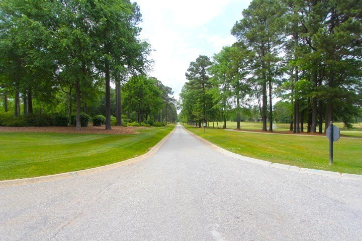 Picture 39