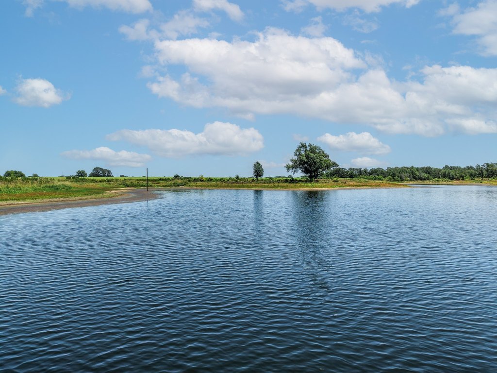 Picture 22