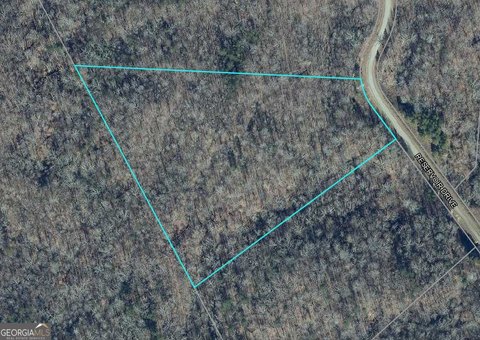 Gainesville Wooded Lot For Sale