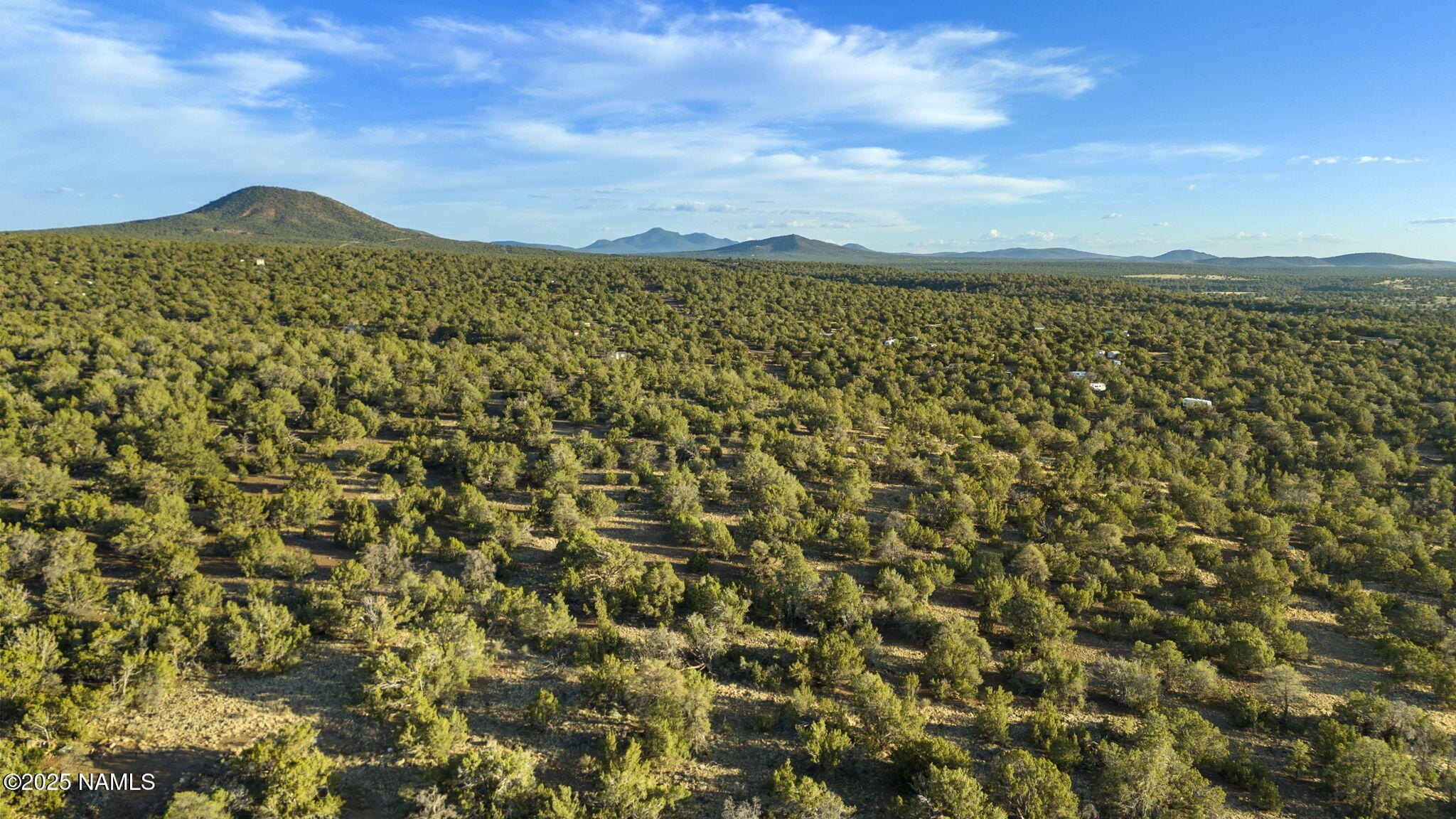 Heavily Treed Acre in Williams