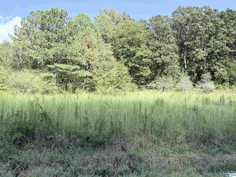 LAND/LOTS, ANNISTON, AL