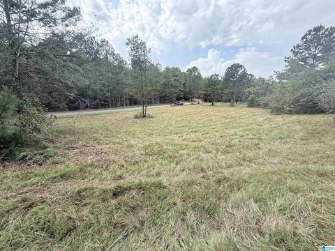 LAND/LOTS, ANNISTON, AL
