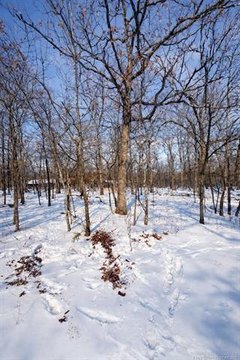 Land Near Ft. Gibson Lake
