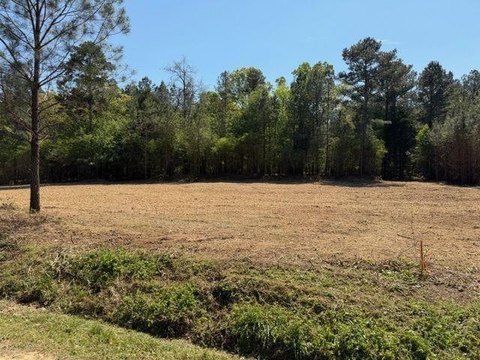 Wooded Land Parcel in Taylorsville