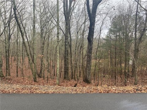 LAND - Silver Creek, GA