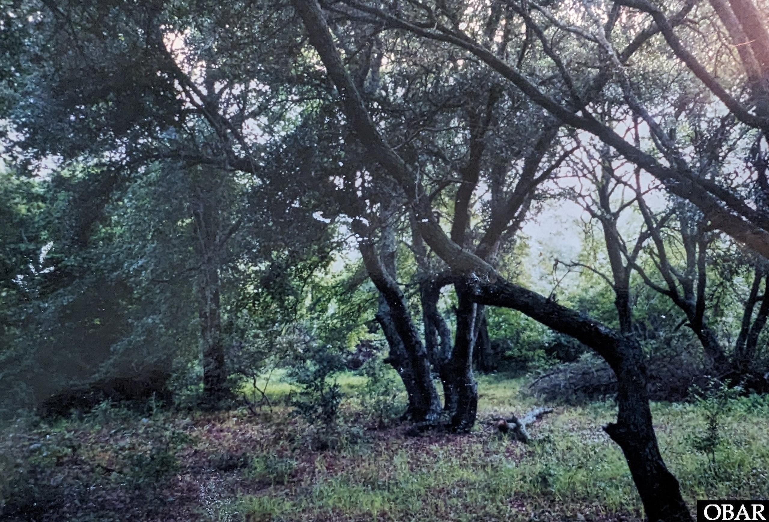 Corolla Land Parcel Opportunity