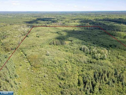 80 Acres Hunting Land, Cotton